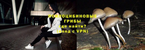 марки nbome Горняк