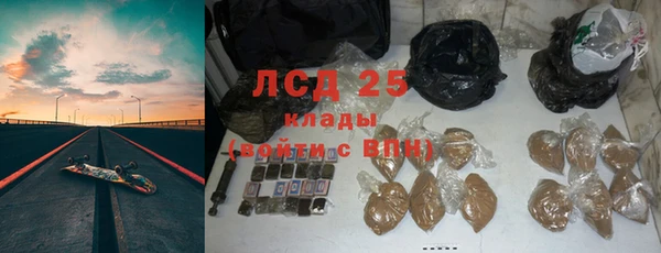 ПСИЛОЦИБИНОВЫЕ ГРИБЫ Горнозаводск