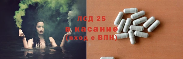 ПСИЛОЦИБИНОВЫЕ ГРИБЫ Горнозаводск