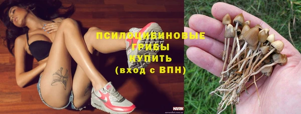 стафф Горно-Алтайск