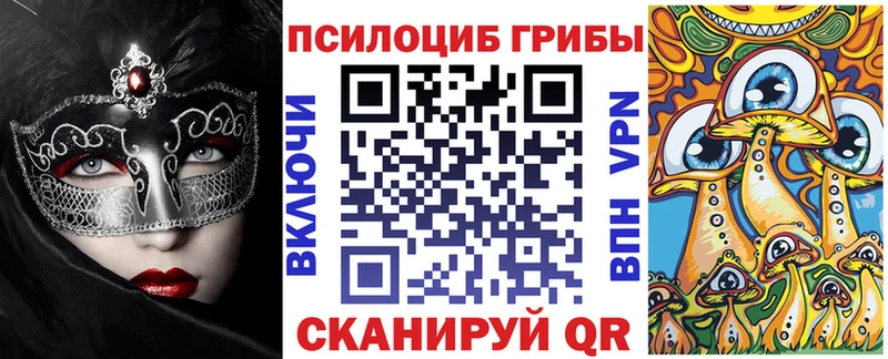 Купить  Карталы  Галлюциногенные грибы Psilocybine cubensis 